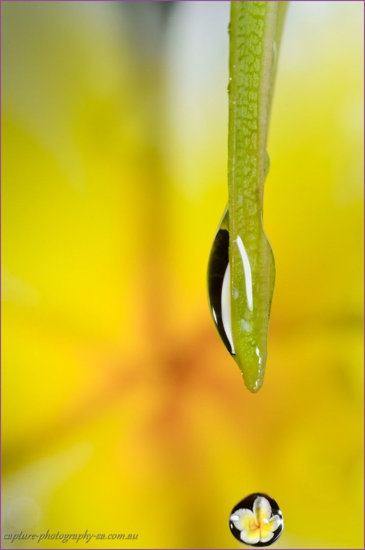 Photo 136195_5 - Captured with NIKON D7000