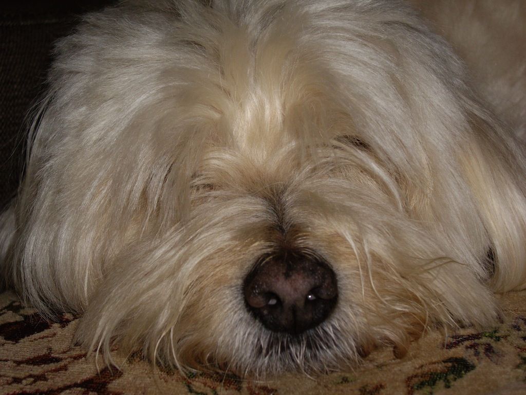 Photo 14-oct-4 - Captured with PENTAX Optio S10